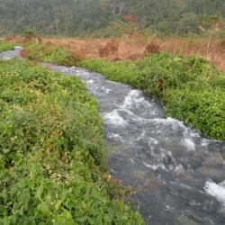 Call of wild Udalguri