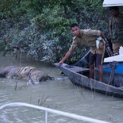 A scene from Kaziranga.. Photo by Biju Boro