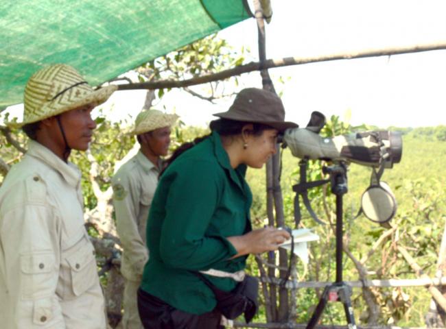 Purnima at work on a tree-top observation centre