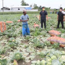 Agriculture Minister Atul Bora visits a cabbage cultivation farmer at Bakarapara in Barpeta on 17-05-2020. Photo by UB Photos