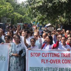 Guwahati Residents Rally Against Tree Felling for Flyover Project