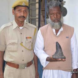 Nagaon Police arrested one rhino poacher and recovered one horn at Juria Gadaimari Village in Nagaon on 07-03-15. Pix by UB Photos
