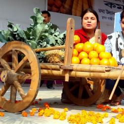 Crowd throngs at Orange Fair held at Boko