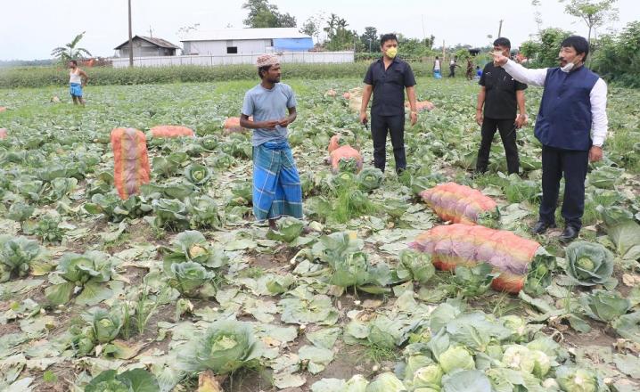 Agriculture Minister Atul Bora visits a cabbage cultivation farmer at Bakarapara in Barpeta on 17-05-2020. Photo by UB Photos