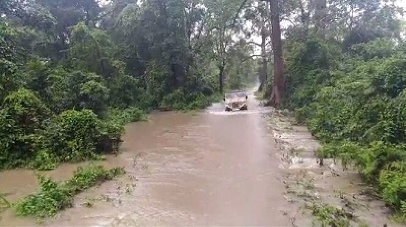 Bhutan blamed for devastation in Manas National Park | Assam Times