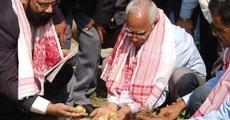 Potato Cultivation by AASU