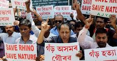 Efforts on to stop rhino poaching: CM