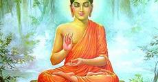 Buddhas only point the way