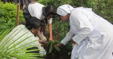 WWF-India plants trees on WED