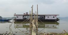 Ferry service halts