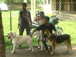 World Zoonosis Day at Barpeta