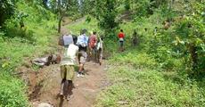 Plantation on Global Tiger Day