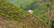 Consultation on environment and natural resources