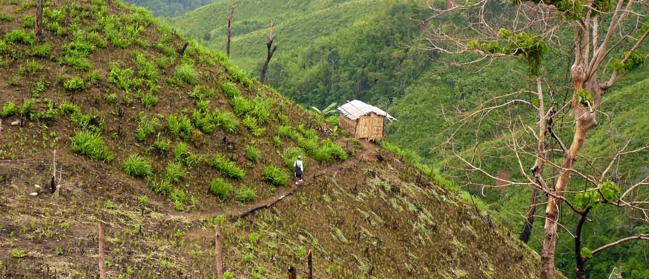 Consultation on environment and natural resources