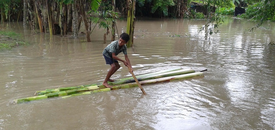 Flood wreaks havoc in Kaziranga