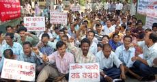 Veterinary workers detained