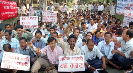 Veterinary workers detained