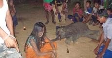 Elephant calf rescued at Nagaon