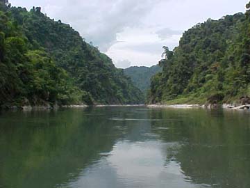 Downstream disaster not “reversible” 