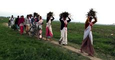Bihu festivity grips everywhere