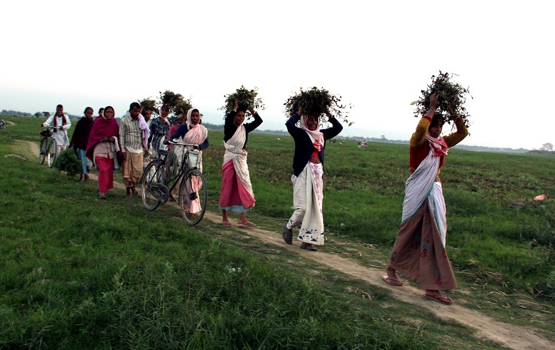 Bihu festivity grips everywhere