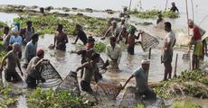 Fishing before feasting