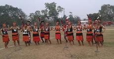 Canopy harmony festival at Gelakey