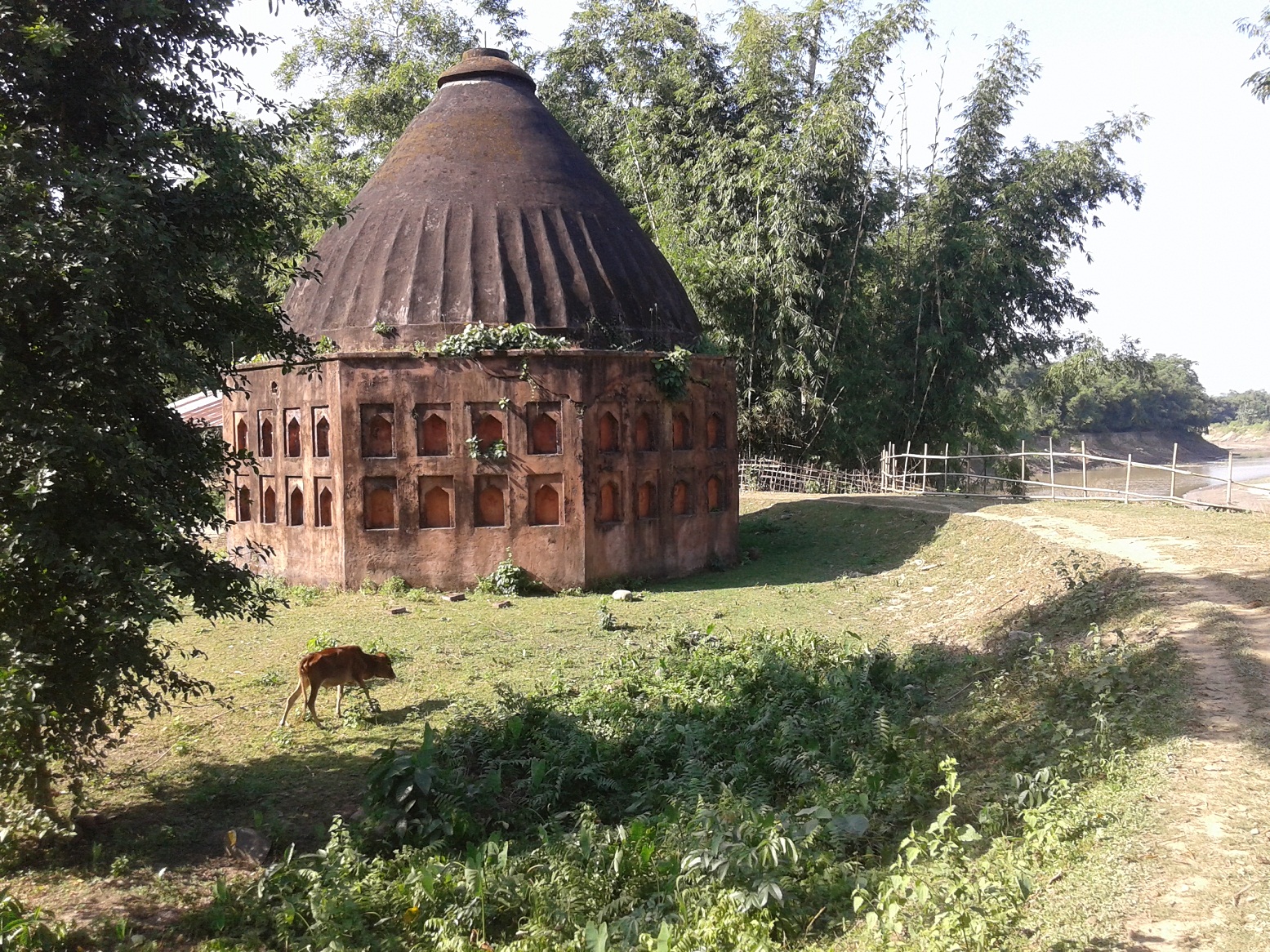 Extinction threat to Gorokhiya Dol 