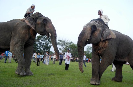 Suwori Utsav at Boko