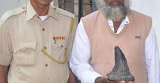 Is rhinos poaching a state sponsored crime?