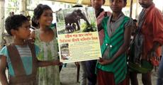 Steps to end man-elephant conflict