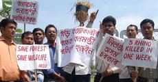AASU protests against Rhino killing