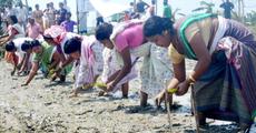 New agriculture scheme
