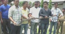 Python rescued