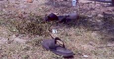 Blast at Alipurduar; 1 killed, 2 hurt