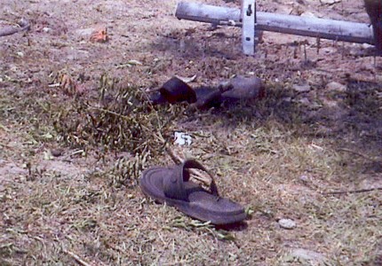 Blast at Alipurduar; 1 killed, 2 hurt