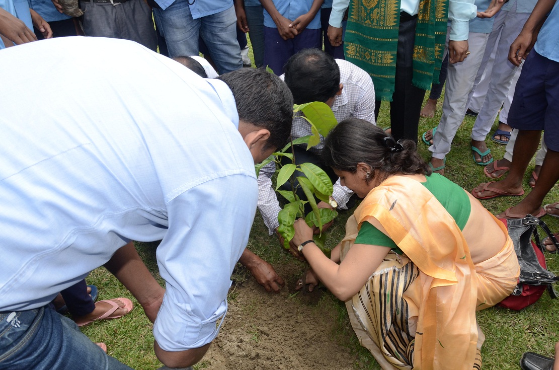 World Environment Day observed at Pobitora