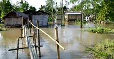 Flood wreaks havoc