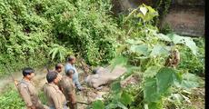 NRL draws flak over elephant corridor