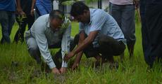 Tezpur university celebrates world environment day
