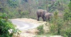 Reign of terror in Majuli