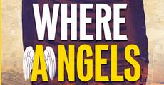 Where Angels Prey