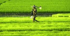 Farm mechanization for better agriculture