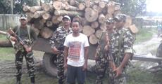 Timber smuggler arrested