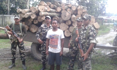 Timber smuggler arrested