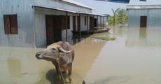 Marginal let-up in flood situation 