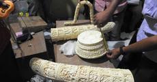 487 kg ivory seized in Delhi