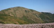 Improving food security in mountain