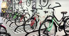 Bicycle scam leaves Gogoi red faced