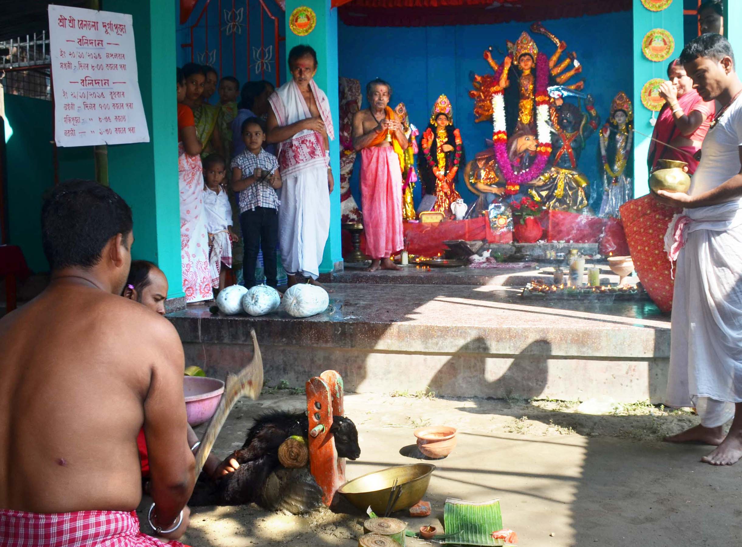 Why don’t stop animal sacrifice  